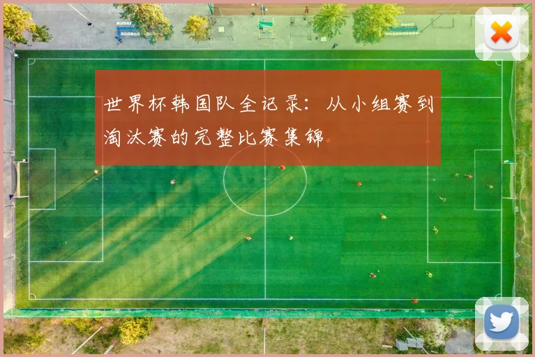 世界杯韩国队全记录:从小组赛到淘汰赛的完整比赛集锦
