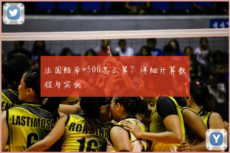 法国赔率+500怎么算？详细计算教程与实例