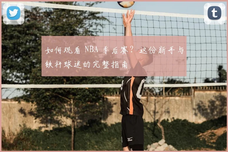 如何观看 NBA 季后赛？这份新手与铁杆球迷的完整指南