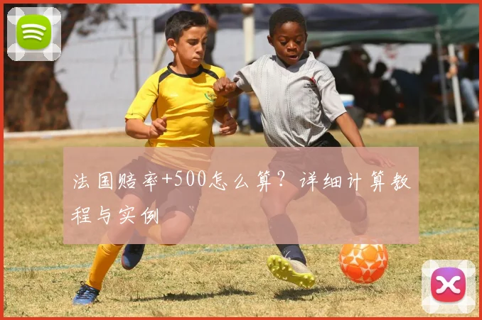 法国赔率+500怎么算？详细计算教程与实例