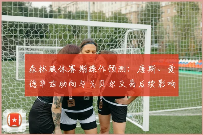 森林狼休赛期操作预测：唐斯、爱德华兹动向与戈贝尔交易后续影响解析